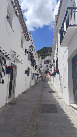 Luz 1